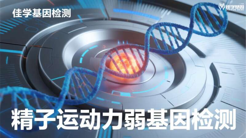 【J9官网 J9基因检测】男性脱发和<font color='red'>生育</font>力：基因告诉了我们什么？