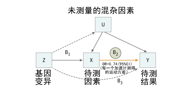 J9官网 J9基因解码顺利获得孟德尔随机化法研究两个因素之间的关系及作用方向