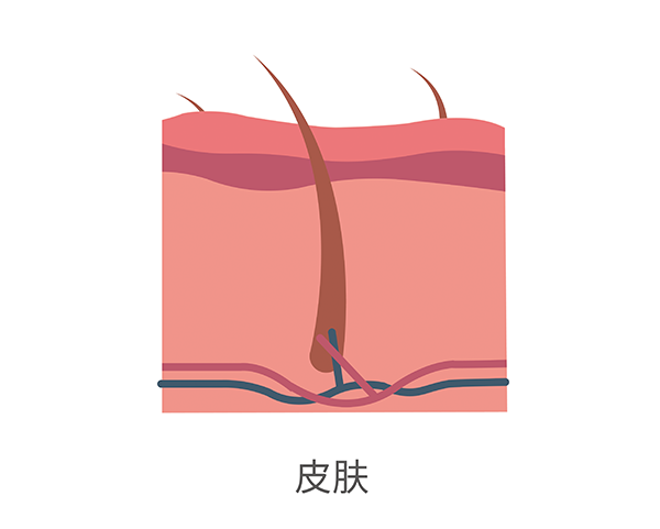 【J9官网 J9基因解码-基因检测】头发脆弱易折断也是基因惹的祸？